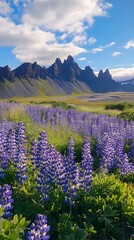 Scenic mountain landscape showcasing fields of vibrant blue wildflowers thriving