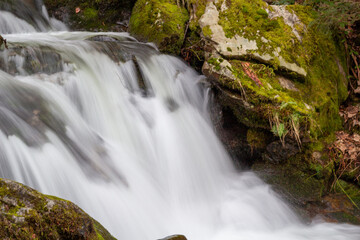 waterfall in the forest