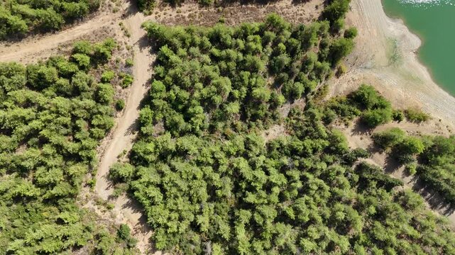 4K drone video: Paralel dirt road and coast over green lake.