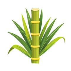 Obraz premium Fresh Sugarcane Plant Icon