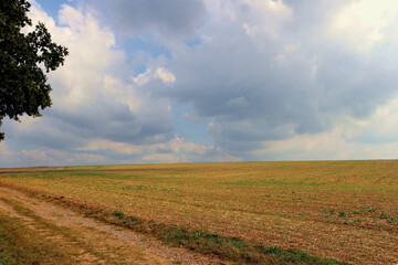Naklejka premium Abgeerntetes Feld vor bewölktem Himmel im Herbst. Aussicht vom neuen Wanderweg Moselsteig Seitensprung Konzer Höhenrunde bei Konz an der Mosel im Landkreis Trier-Saarburg.