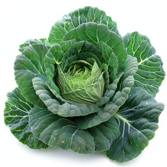 Obraz premium Fresh Cabbage Isolated on White Background
