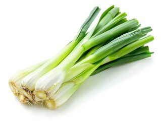 Fototapeta premium Fresh Leek Isolated on White Background with Lighting
