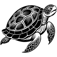 Turtle silhouette vector illustration with a detailed shell and hinged plastron. Ideal for nature-themed designs, logos, and educational materials.