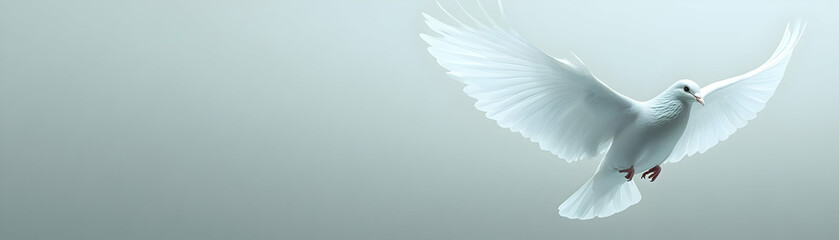 Obraz premium Minimalistic Light Grey Background with Dove Outline for Peace Message - Perfect for Human Rights Day - Large Copy Space Available