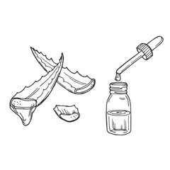 Aloe vera plant and sliced leaves with serum bottle and dropper. Hand drawn vector sketch