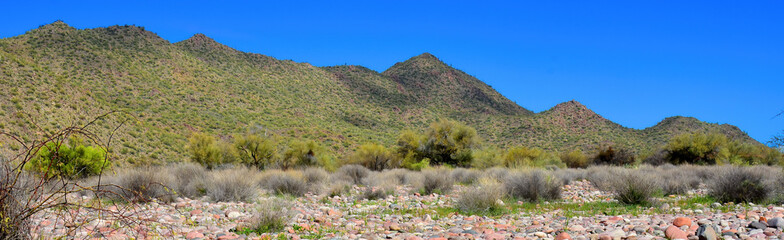 Salt River Recreation Area Arizona