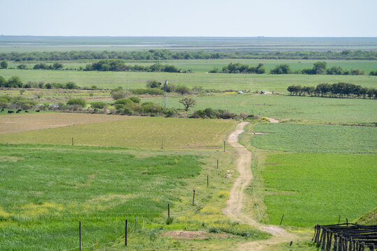 Vistas de hermoso campo y praderas de cultivos