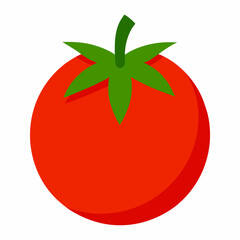 tomato illustration