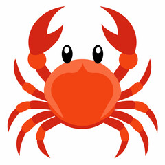 red crab on white background