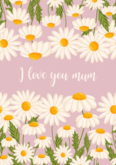 Mother's day greeting card. Seamless pattern for postcard or poster with daisies. Chamomile vector floral illustration for congratulations or decor etc. Festive template can add text.