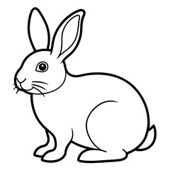 white rabbit on white