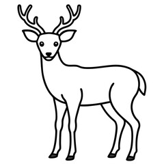 deer illustration