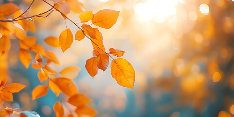 Golden Autumn Leaves Glistening in Sunlight