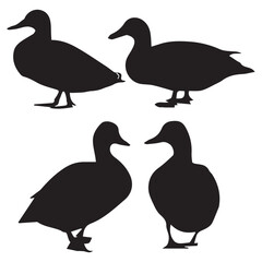 Duck icon vector set 