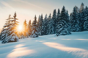 Snow-covered landscape and evergreens in Germany
