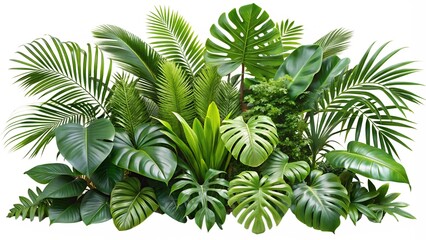 Lush Green Tropical Plants Bush (Monstera, Palm, Rubber Plant, Pine, and Fern) Cut Out for Design Projects