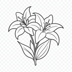 Elegant Floral Bunch with Lily Line Art Vector Illustration for Creative Botanical Designs