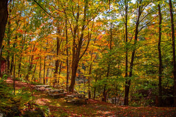 Magnificent autumn landscapes in the Canadian countryside in the province of Quebec