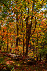 Magnificent autumn landscapes in the Canadian countryside in the province of Quebec