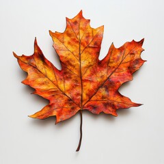 A vibrant 3D representation of a maple leaf in shades of orange and yellow, capturing the essence of fall with realistic textures and details, floating against a white background