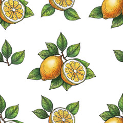 A modern sketch pattern illustration of a yellow lemon. Line drawing