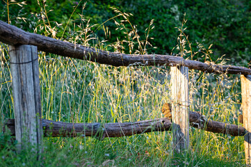Fototapeta premium Scenic image of a wooden fence in a field of grass