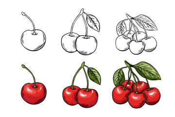 Cherry berry sketch set, engraving. black and white . Fruit vector isolated on white background