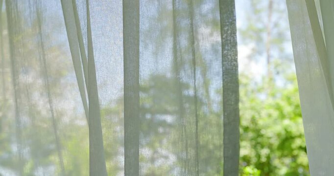 window in the morning. Wind blowing white curtain from open window living room tree garden outside background. 
