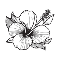 line art of hibiscus, Hibiscus flower black color illustration .Hibiscus Flower. Vector illustration