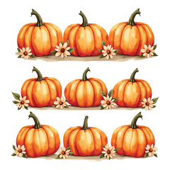 Set of pumpkins illustration with white background 