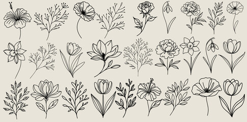 Fototapeta premium Flowers SVG, Flowers Bundle, Flora SVG, Nature SVG, Leaves SVG, Bouquet of flowers SVG, Aesthetic SVG, Floral Set, Rose SVG, Peony SVG, Tulip SVG, Flowers Silhouette, Line art, Cut file for Cricut PNG