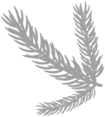 Fir branch shadow, flat design