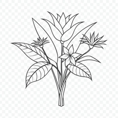 Floral Bunch with Bird of Paradise Line Art Vector Illustration for Elegant Nature Inspired Design