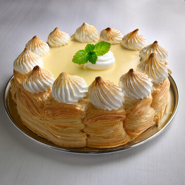 Delicious Vanilla Cream Puff Pastry Called Cremsnit