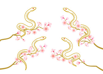 2025 巳年 年賀状素材 - 桜の枝に絡まる白蛇　4点セット