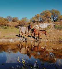 Bajo de Veliz, Province of San Luis, Argentina.
