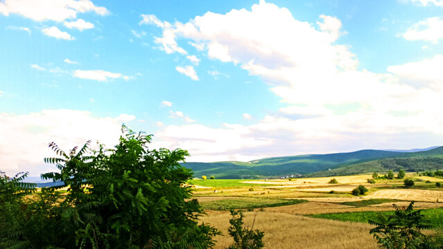 Landscape with a field and sky
