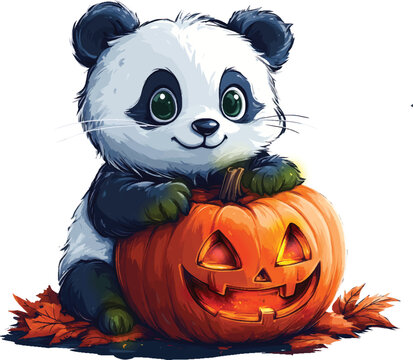  Cute pumpkin hallowen dracula with pand