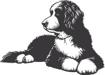 Bernedoodle Dog  different poses silhouette vector design