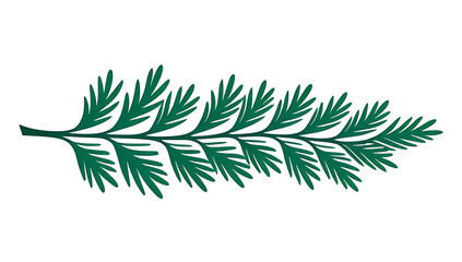 Fototapeta premium evergreen fir branch isolated white background perfect christmas decor
