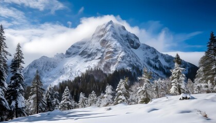 Snowy mountain peak with fir trees and a blue sky with clouds in the background