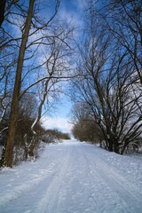 Fototapeta premium Nature under the snow during winter. Slovakia