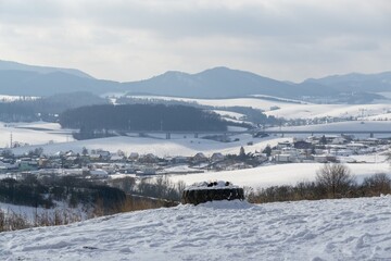 Nature under the snow during winter. Slovakia