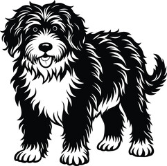 Bernedoodle Dog  different poses silhouette vector design