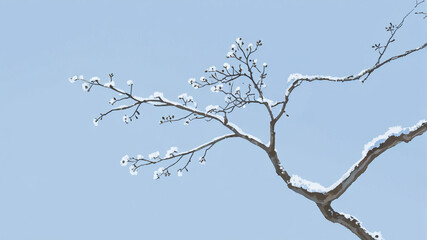 Obraz premium A pastel blue background featuring a tiny snow-covered tree in the top left corner. 