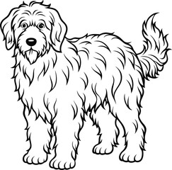 line drawing Bernedoodle dog vector illustration