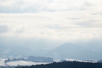 Nature under the snow during winter. Slovakia
