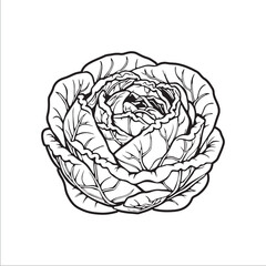 cabbage silhouette vector illustration, Simple, clear and beautiful arts and crafts 