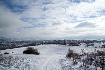Nature under the snow during winter. Slovakia